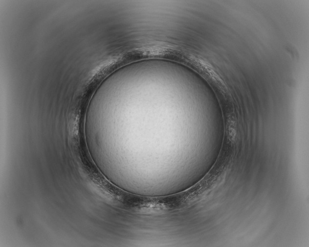 X0000111910543200908101203