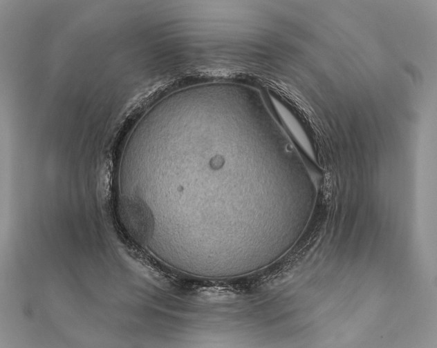 X0000111910544200908101203