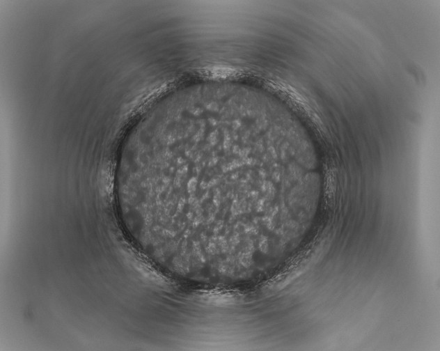 X0000111910545200908101203