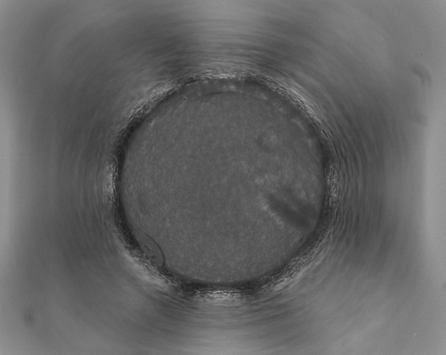 X0000111910546200908101203