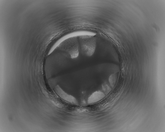 X0000111910547200908101203