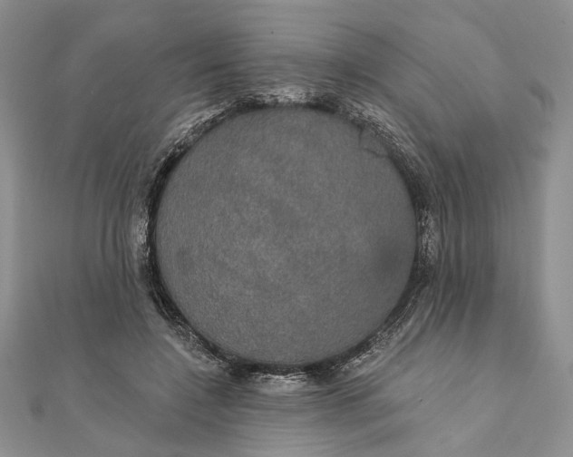 X0000111910548200908101203