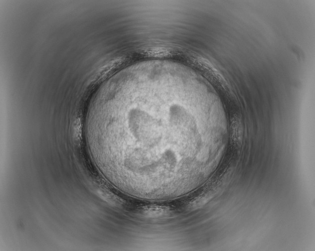 X0000111910549200908101203