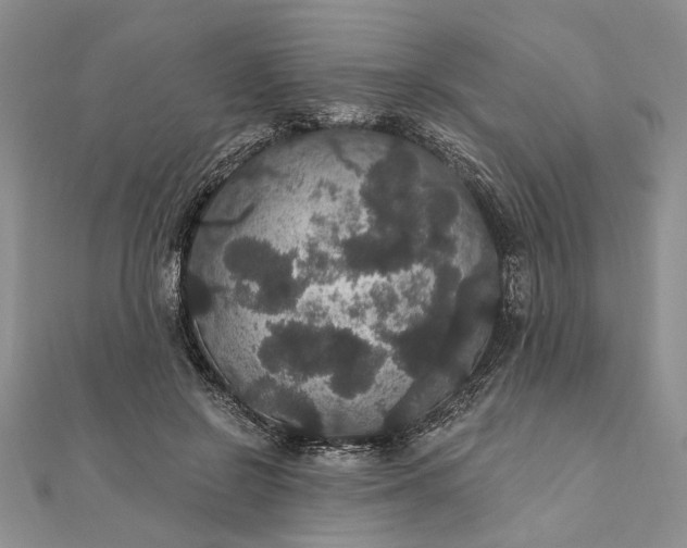 X0000111910550200908101203