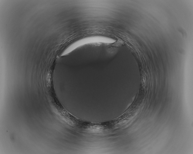 X0000111910551200908101203