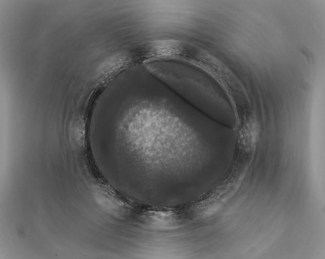 X0000111910552200908101203