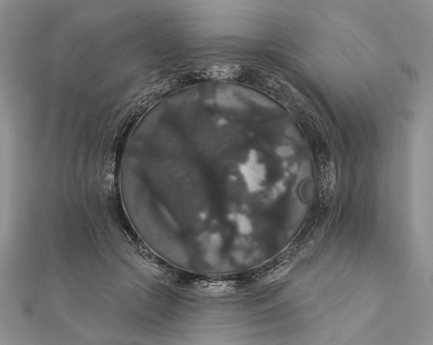 X0000111910553200908101203