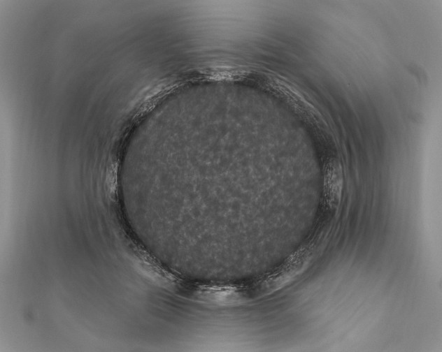 X0000111910554200908101203