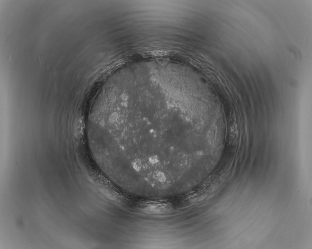 X0000111910555200908101203