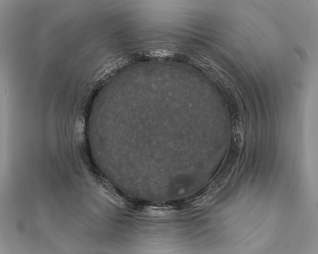 X0000111910556200908101203