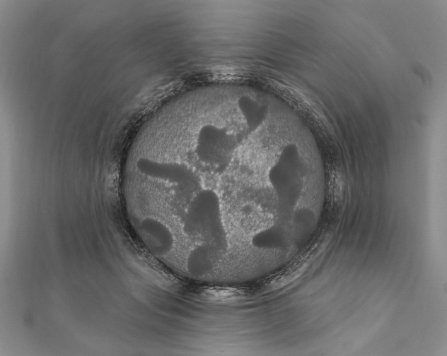 X0000111910557200908101203