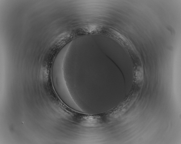 X0000111910558200908101203