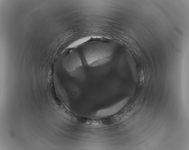 X0000111910559200908101203