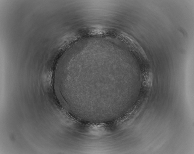 X0000111910560200908101203