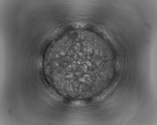 X0000111910561200908101203