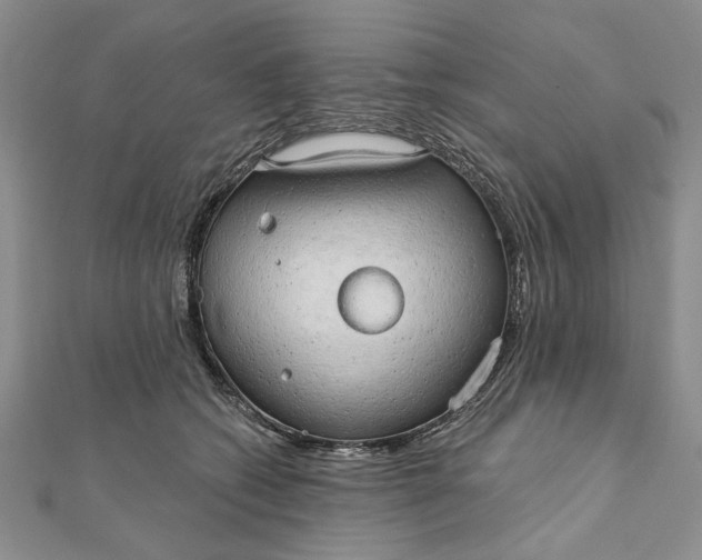 X0000111910562200908101203