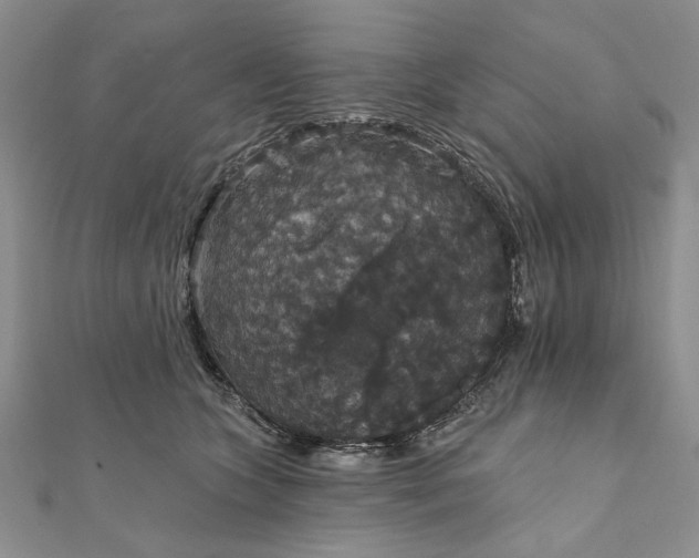 X0000111910563200908101203