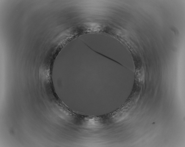 X0000111910564200908101203