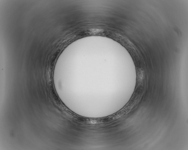 X0000111910565200908101203