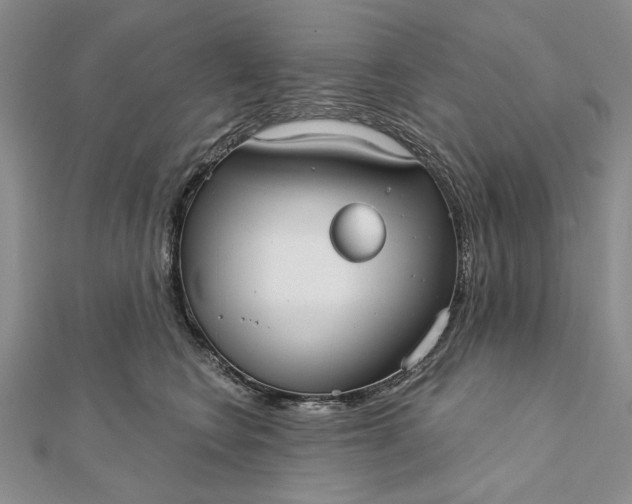 X0000111910566200908101203