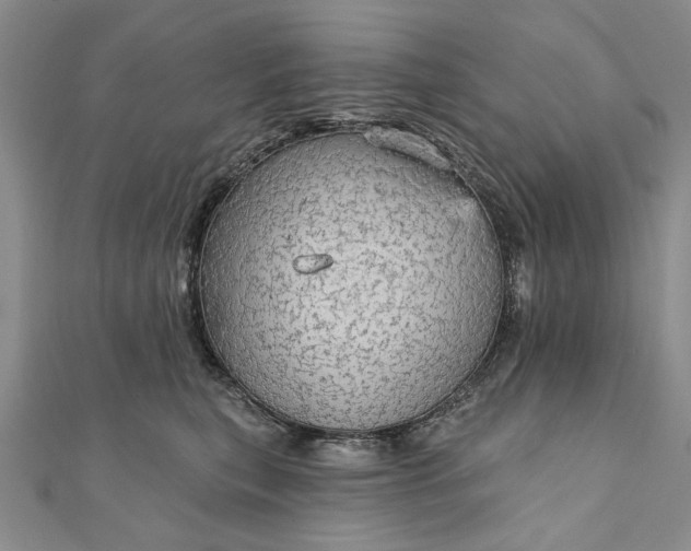 X0000111910567200908101203