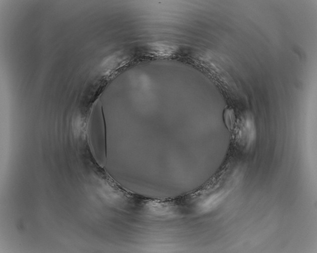 X0000111910568200908101203