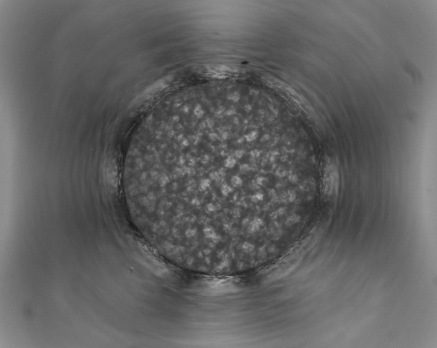 X0000111910569200908101203