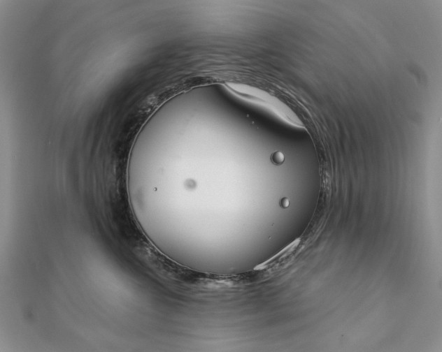 X0000111910572200908101203