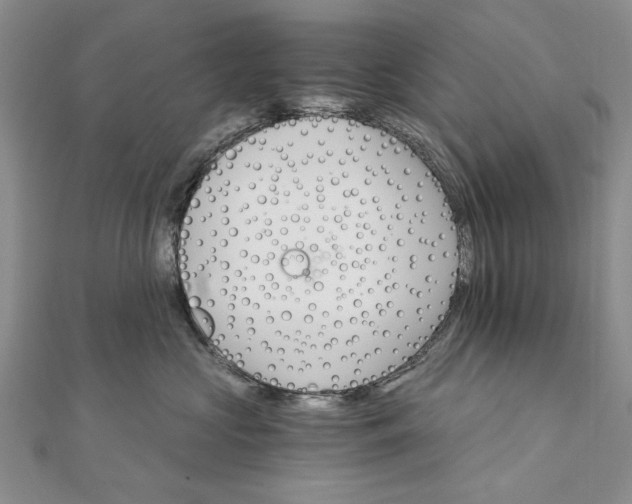 X0000111910573200908101203