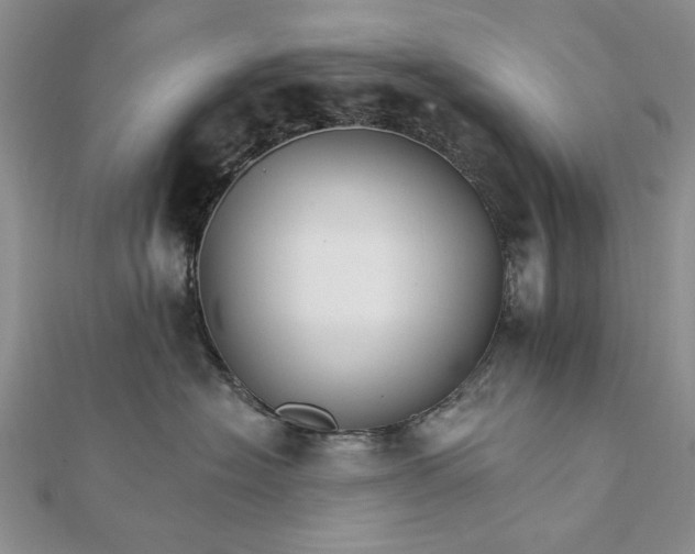 X0000111910574200908101203