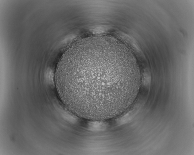 X0000111910575200908101203