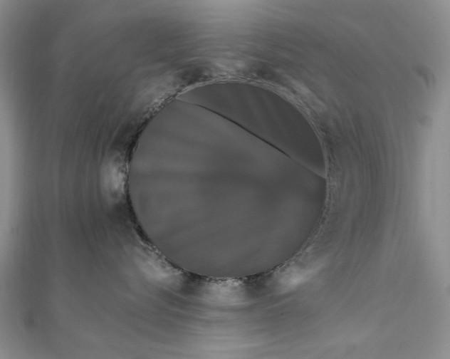 X0000111910576200908101203