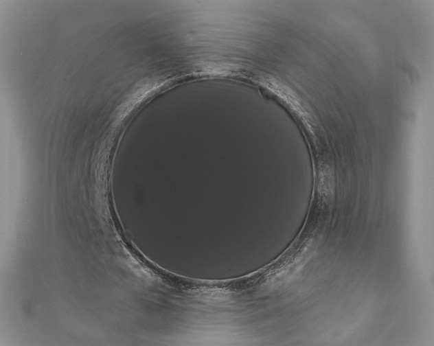 X0000111910577200908101203