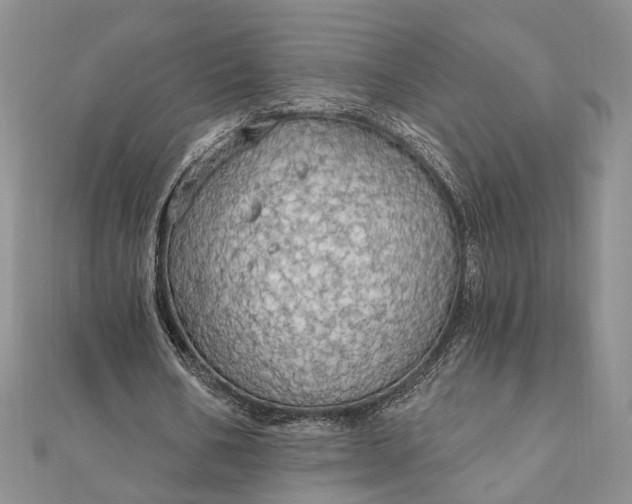 X0000111910578200908101203