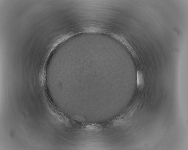 X0000111910579200908101202