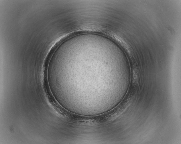 X0000111910580200908101202