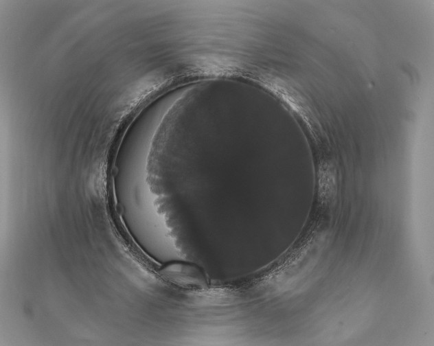 X0000111910581200908101202