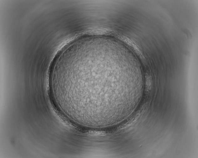 X0000111910582200908101202