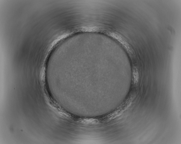 X0000111910583200908101202