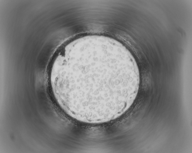 X0000111910584200908101202