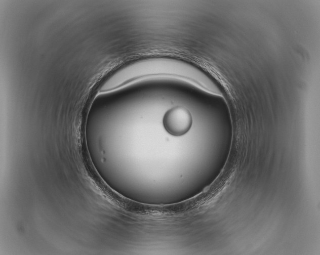 X0000111910585200908101202