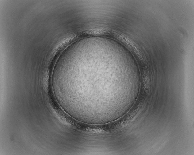 X0000111910586200908101202