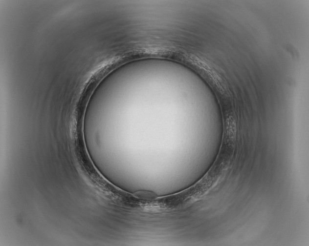 X0000111910587200908101202