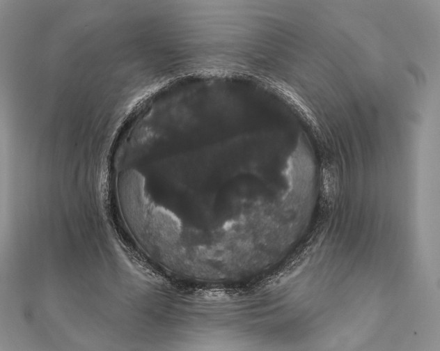 X0000111910588200908101202