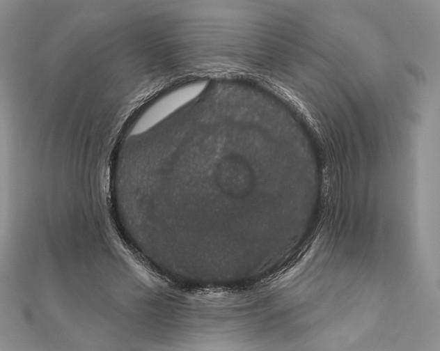 X0000111910589200908101202