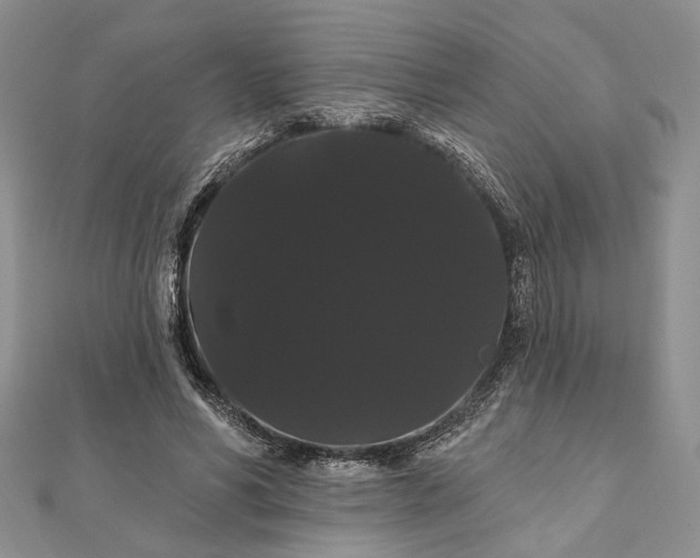 X0000111910590200908101202