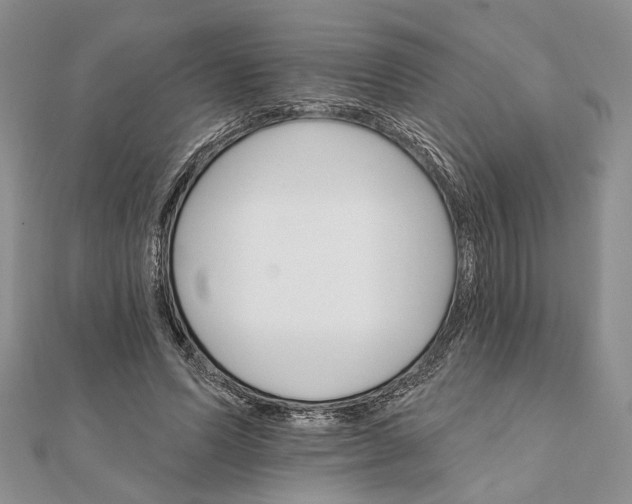 X0000111910591200908101202