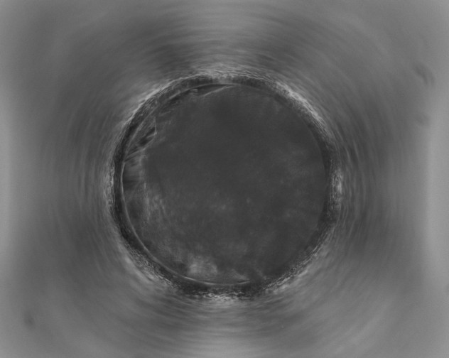 X0000111910592200908101202