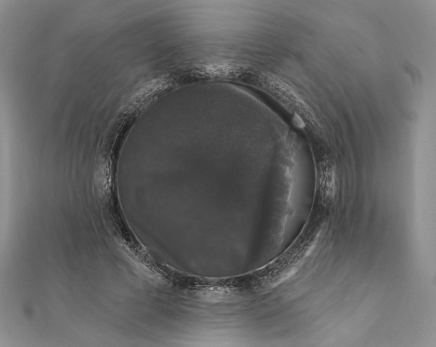 X0000111910593200908101202