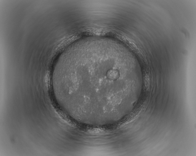 X0000111910594200908101202